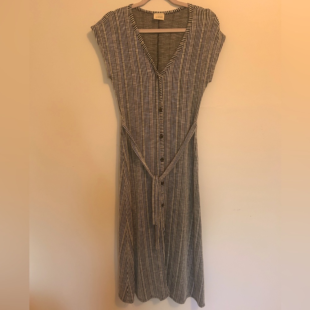 Caution to the Wind dress